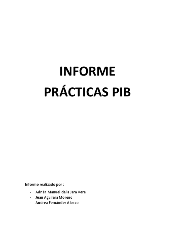 Miniatura del documento INFORME PIB.docx.pdf