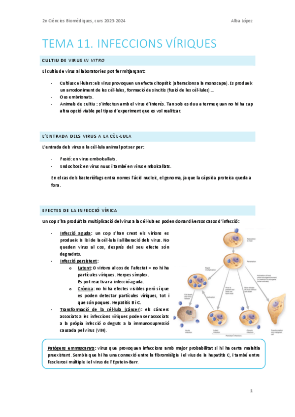 Miniatura del documento Tema-11.-Infeccions-viriques-i-retrovirus.pdf