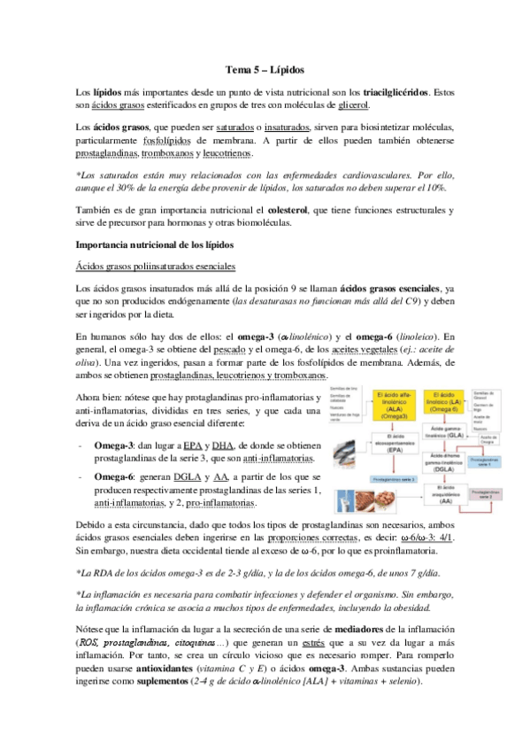 Miniatura del documento Tema 5 - Lípidos.pdf