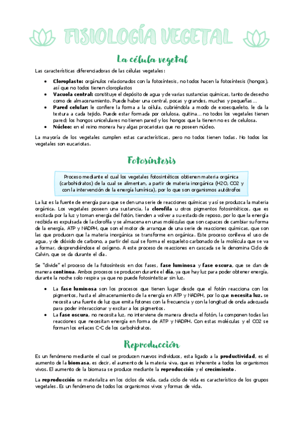 Miniatura del documento botanica-seminarios-examen-1.pdf