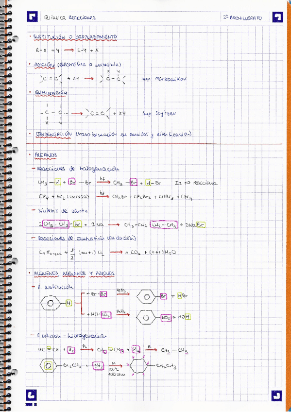 Miniatura del documento REACCIONES.pdf