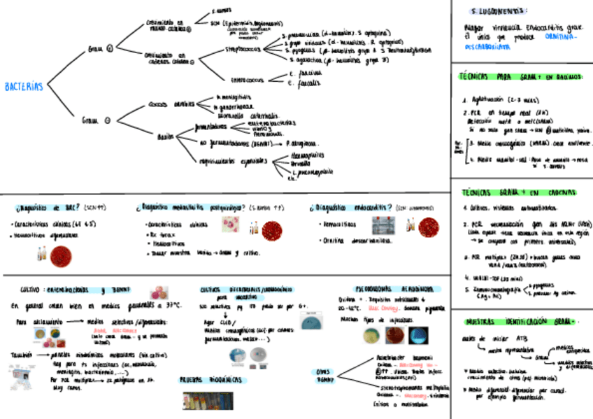 Miniatura del documento Seminarios-1.pdf