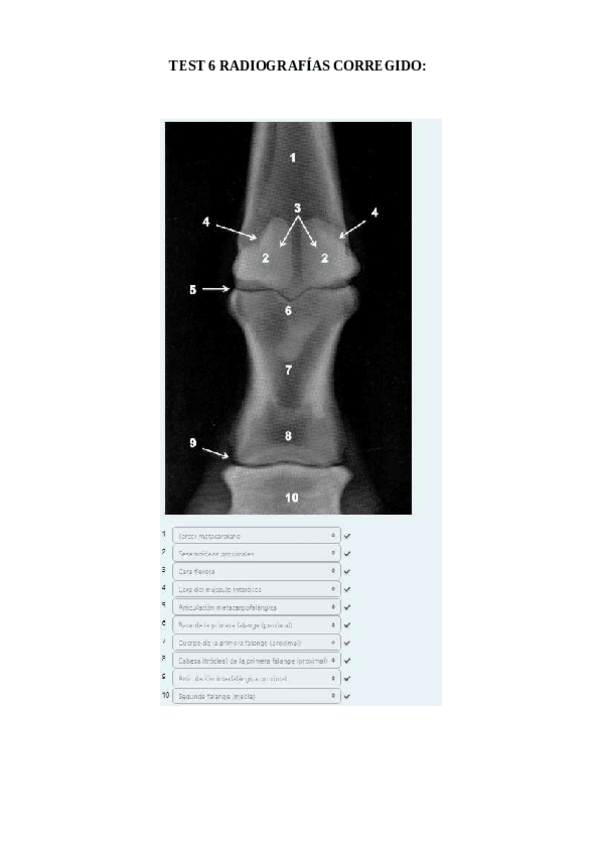 Miniatura del documento TEST-6-radiografias-corregido.pdf