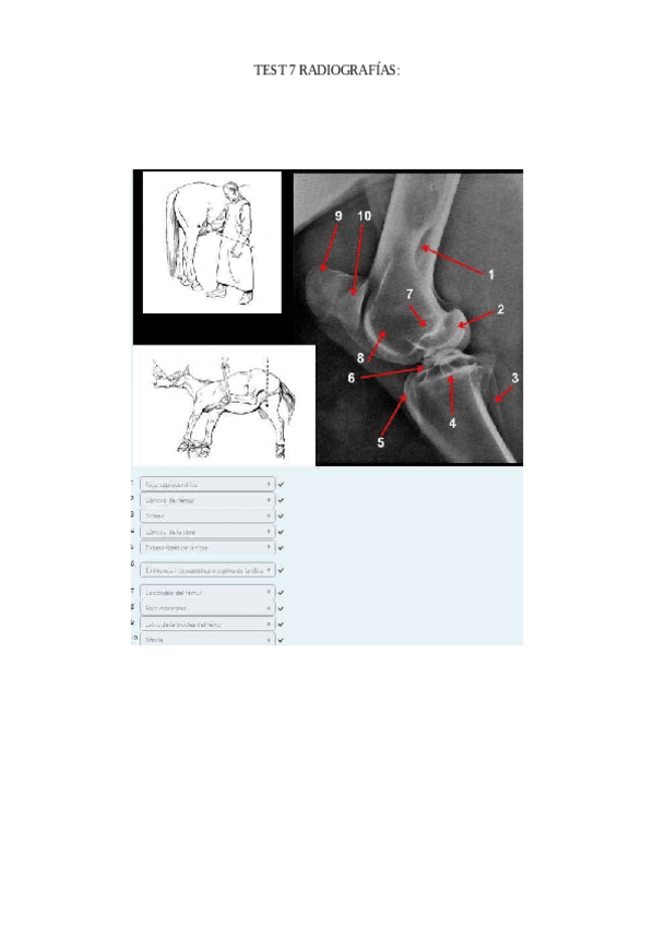 Miniatura del documento TEST-7-radiografias-corregido.pdf
