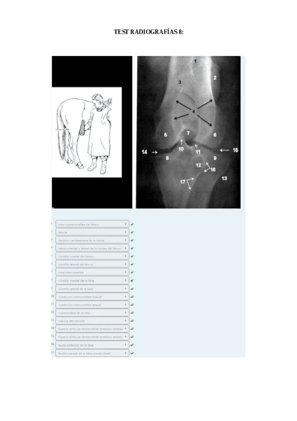 Miniatura del documento TEST-8-radiografias-corregido.pdf