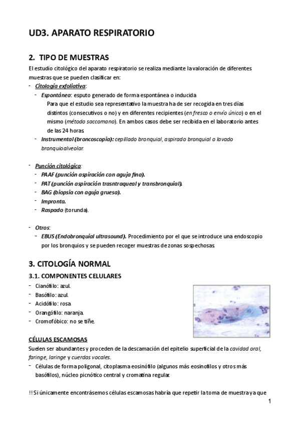Miniatura del documento UD3-CITOLOGIA-GENERAL.pdf