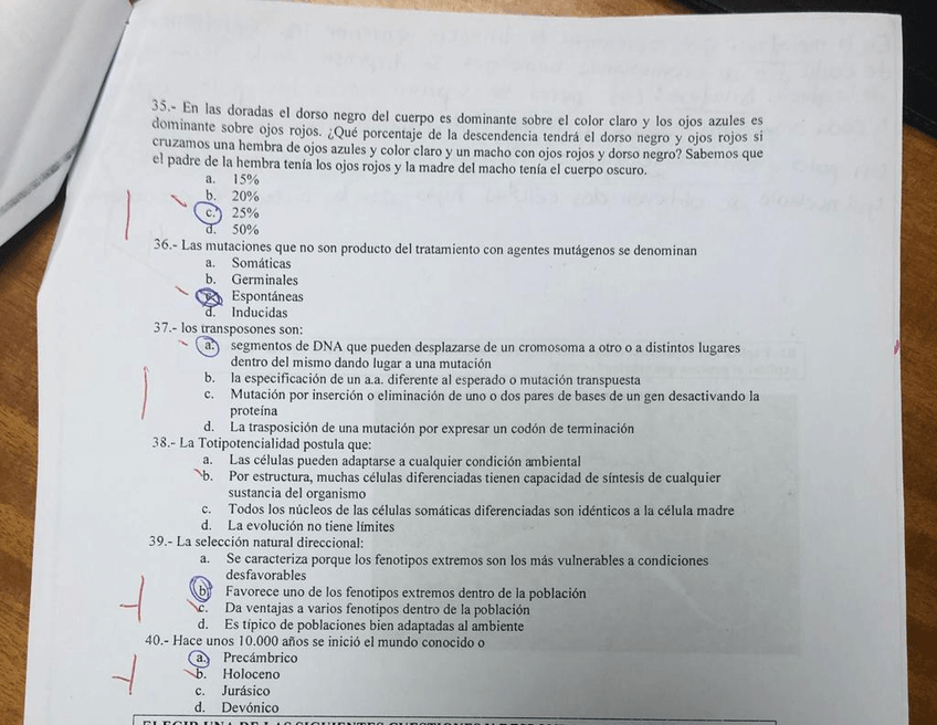 Miniatura del documento WhatsApp-Image-2021-01-15-at-18.02.03-2.jpeg