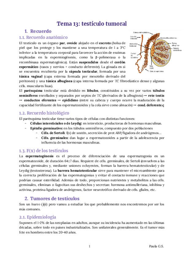 Miniatura del documento AP-TEMA-13-12-RESUMEN.pdf