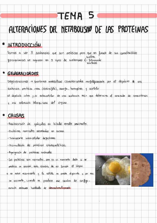 Miniatura del documento TEMA-5-ANATOMIA-PATOLOGICA.pdf