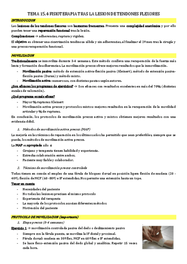 Miniatura del documento tema-15.4-fisio-tras-lesion-tendones-flexores.pdf