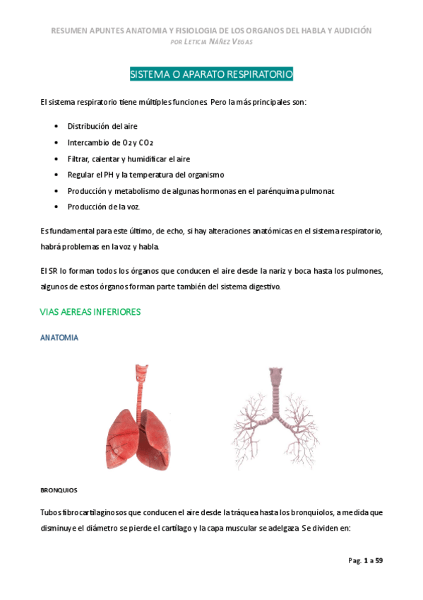 Miniatura del documento Anatomia-y-fisiologia-del-aparato-respiratorio.pdf