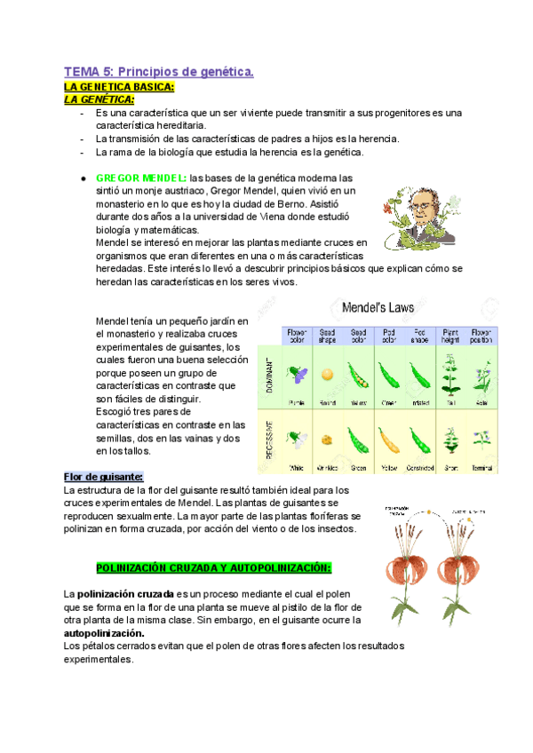 Miniatura del documento TEMA-5-PSICOBIOLOGIA.pdf