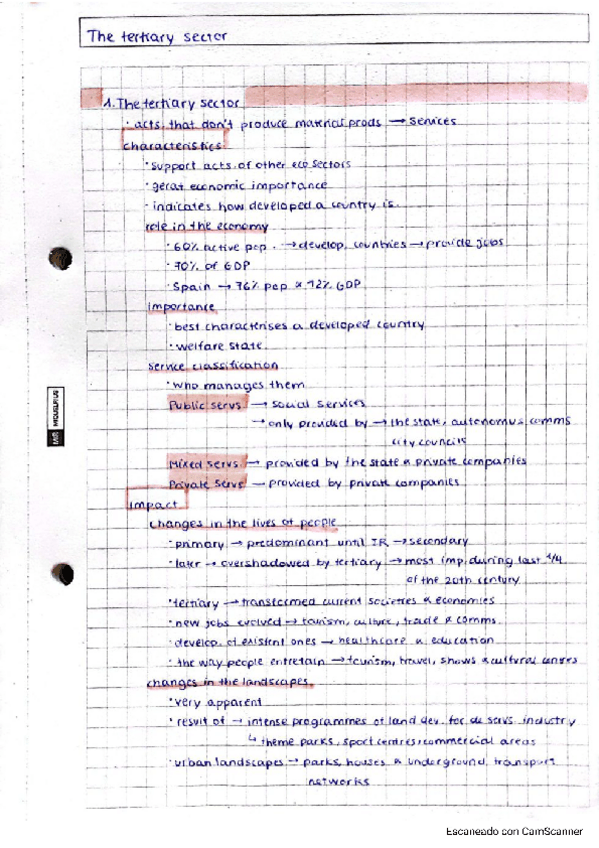 Miniatura del documento 3-ESO-history-and-geography-the-tertiary-sector.pdf