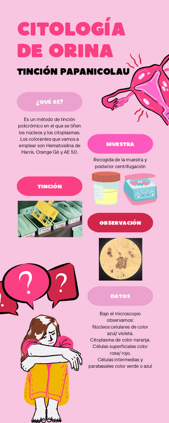 Miniatura del documento Citologia-de-orina-con-tincion-Papanicolau.pdf