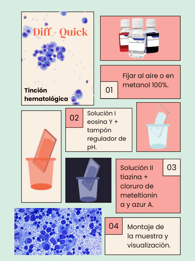 Miniatura del documento Diff-Quick-1.pdf
