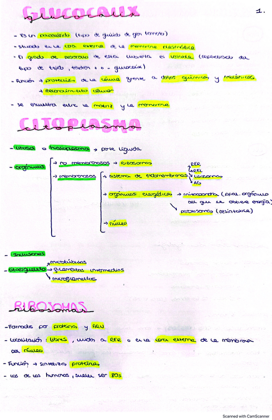 Miniatura del documento tema-2-el-nivel-celular.pdf