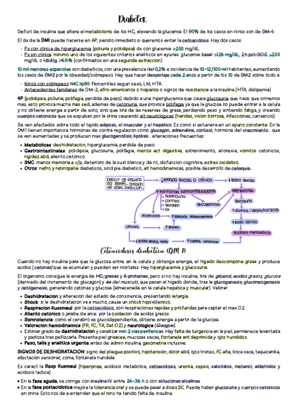 Miniatura del documento Diabetes.pdf