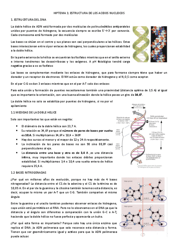Miniatura del documento Primer-parcial-biologia-molecular.pdf