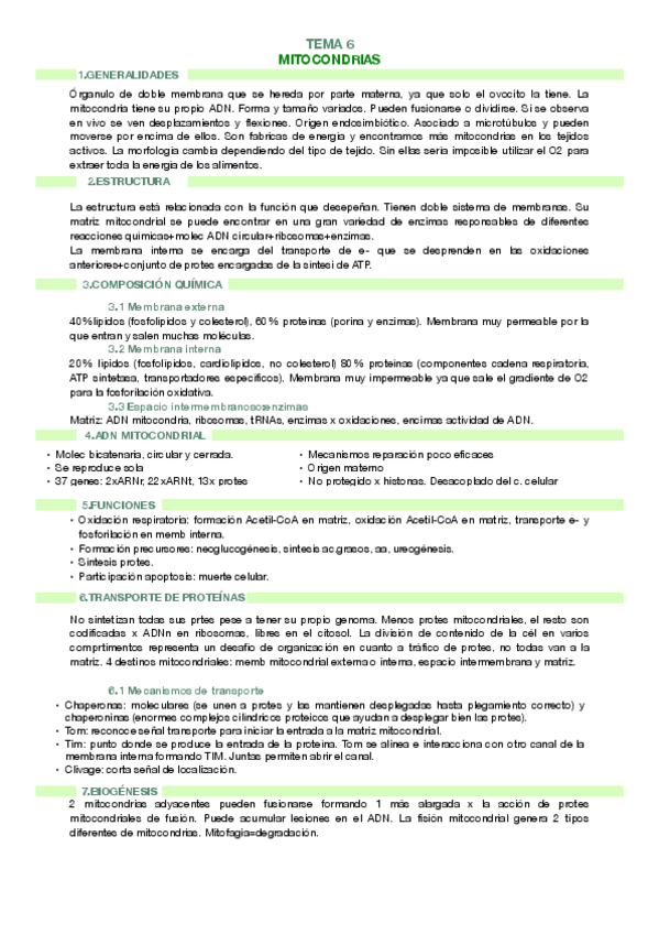 Miniatura del documento resumen-t-6mitocondrias.pdf