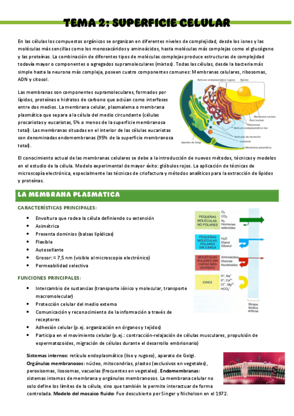 Miniatura del documento Biologia-T2..-Superficie-celular.pdf