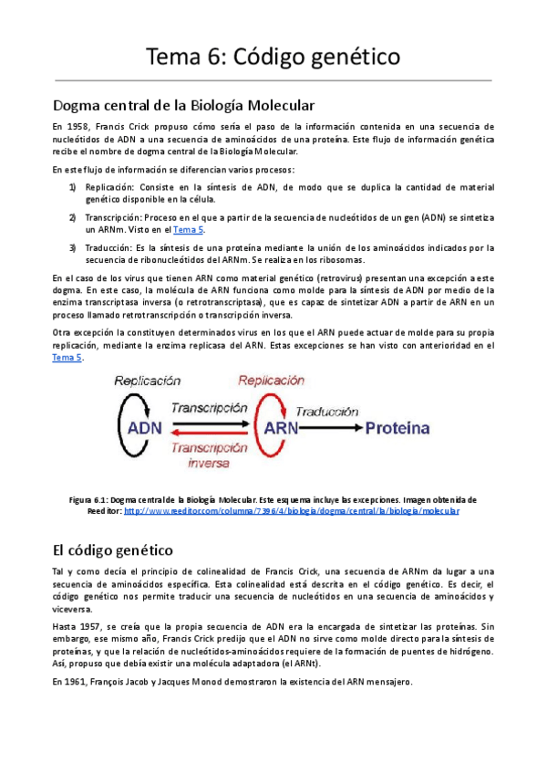 Miniatura del documento Tema-6-El-codigo-genetico.pdf