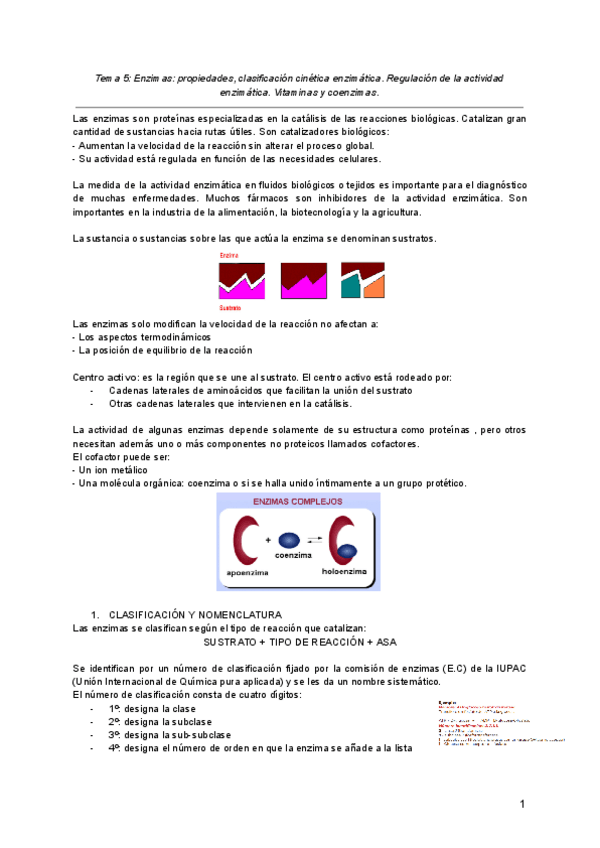 Miniatura del documento Tema-5-Enzimas-propiedades-clasificacion-cinetica-enzimatica.pdf