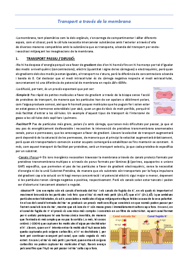 Miniatura del documento T3-Transport-a-traves-de-membrana.pdf