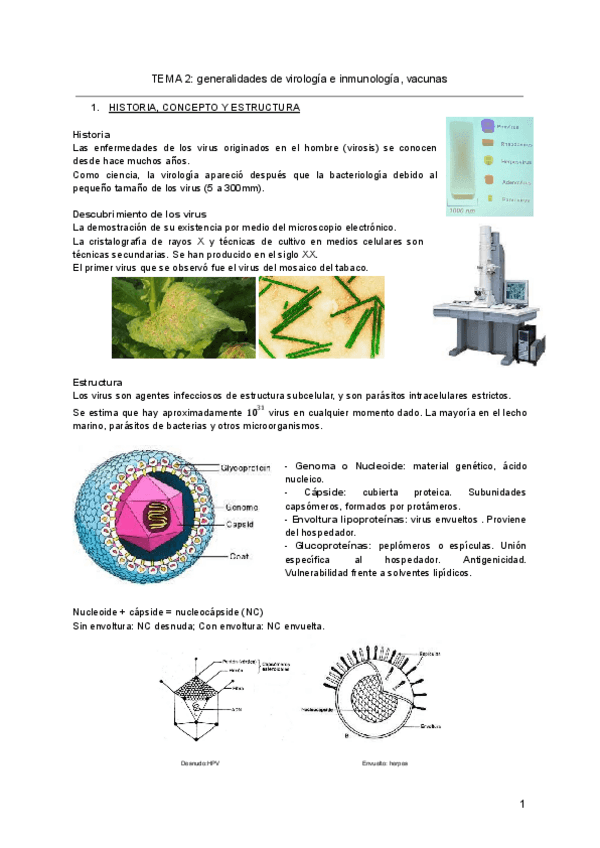 Miniatura del documento TEMA-2-generalidades-de-virologia-e-inmunologia-vacunas-1.pdf