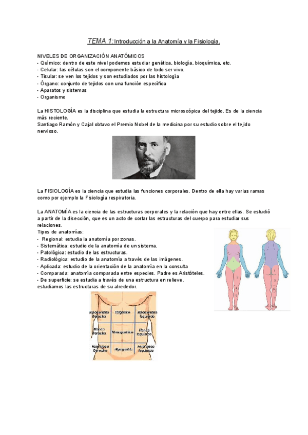 Miniatura del documento TEMA-1-Introduccion-a-la-Anatomia-y-la-Fisiologia.pdf