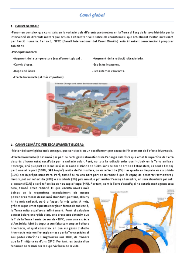 Miniatura del documento T11-Canvi-global.pdf