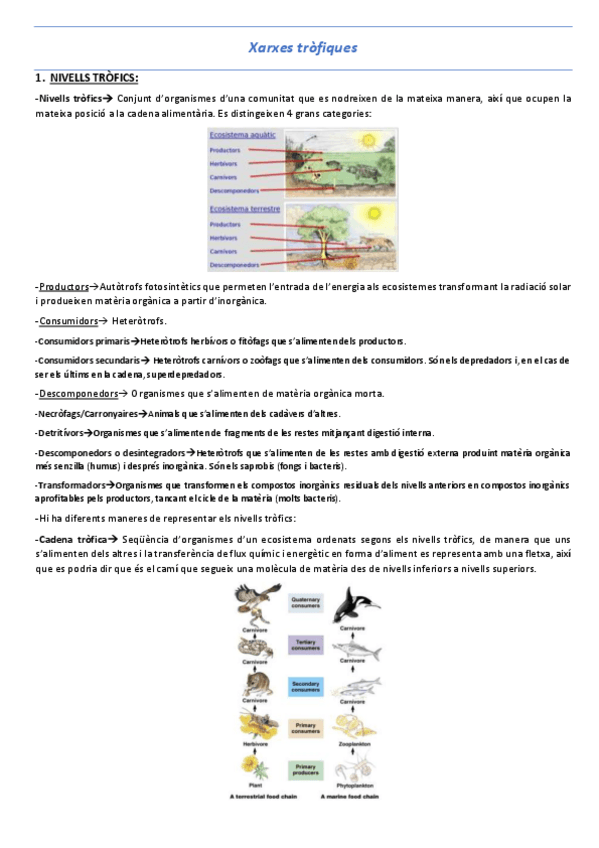Miniatura del documento T10-Xarxes-trofiques.pdf