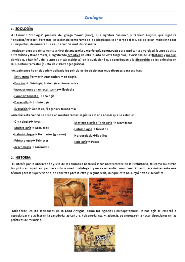 Miniatura del documento T1-Zoologia.pdf