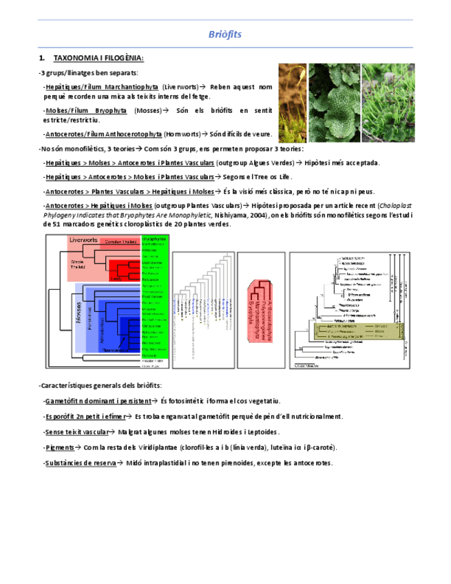 Miniatura del documento T14-Briofits.pdf