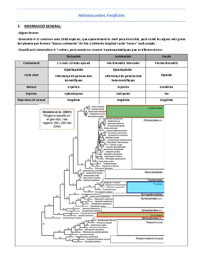 Miniatura del documento T11-Heterocontes-Feoficies.pdf