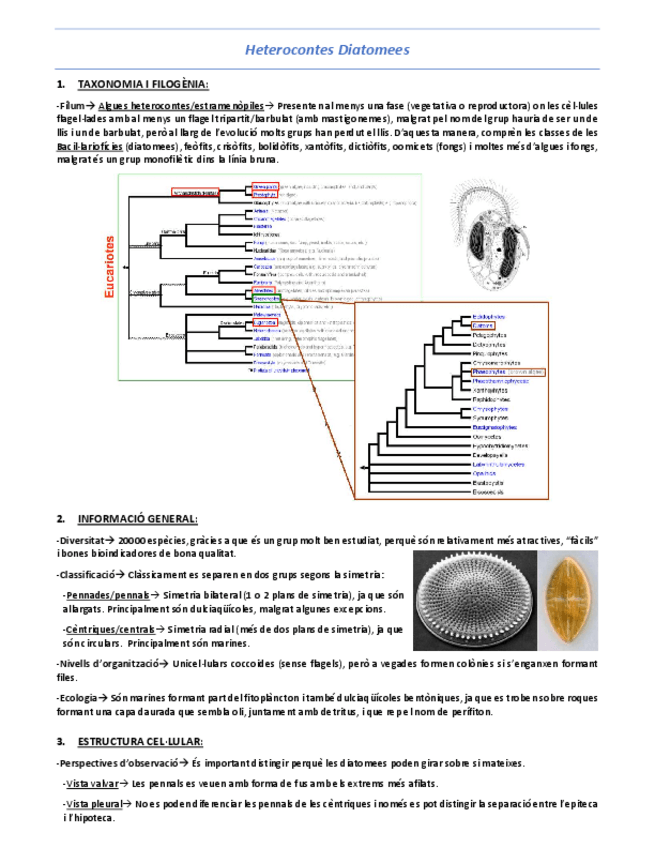 Miniatura del documento T10-Heterocontes-Diatomees.pdf