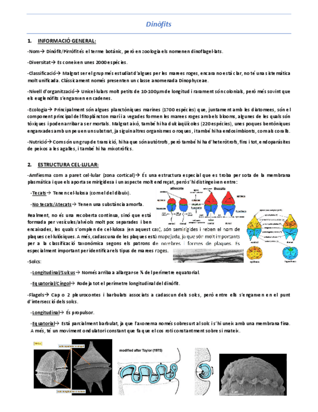 Miniatura del documento T9-Dinofits.pdf