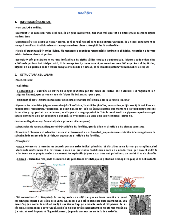 Miniatura del documento T7-Rodofits.pdf