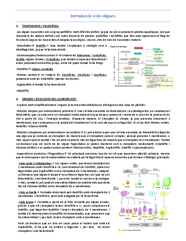 Miniatura del documento T6-Introduccio-a-les-Algues.pdf