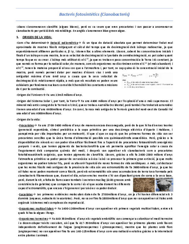 Miniatura del documento T5-Bacteris-fotosintetics-Cianobacteris.pdf