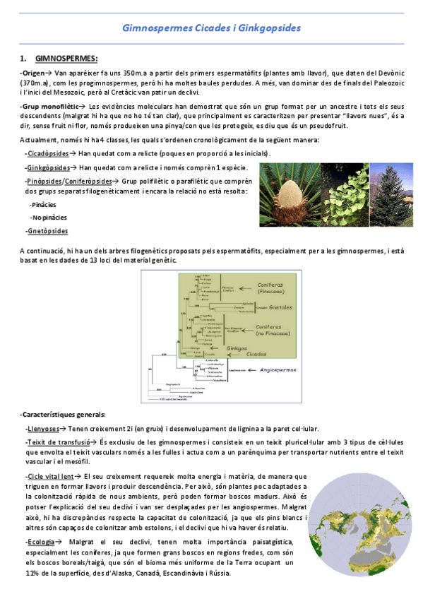 Miniatura del documento T21-Gimnospermes-Cicades-i-Ginkgopsides.pdf