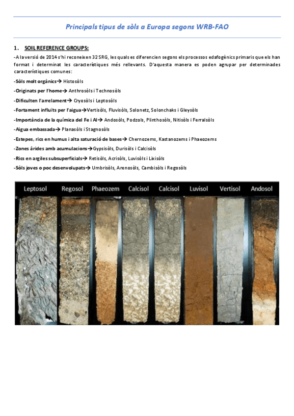 Miniatura del documento T18-Principals-tipus-de-sols-a-Europa-segons-el-sistema-WRB-FAO.pdf