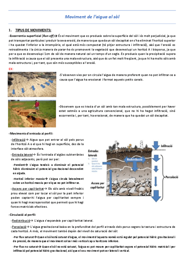Miniatura del documento T14-Moviment-de-l-aigua-al-sol.pdf