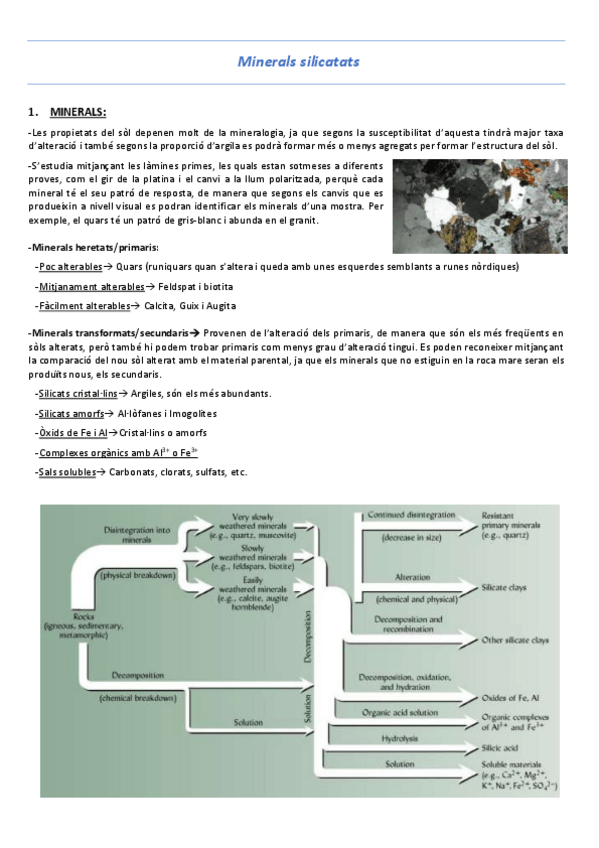 Miniatura del documento T8-Minerals-silicats.pdf