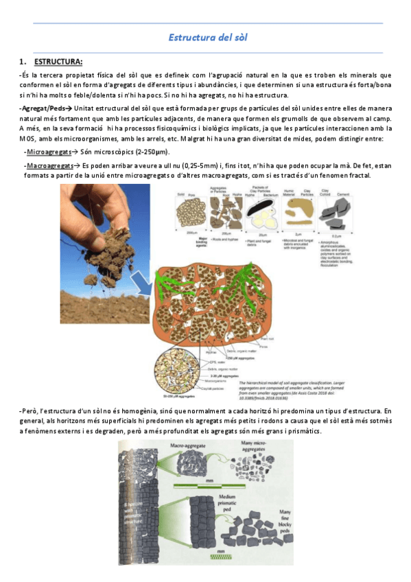 Miniatura del documento T5-Estructura-del-sol.pdf