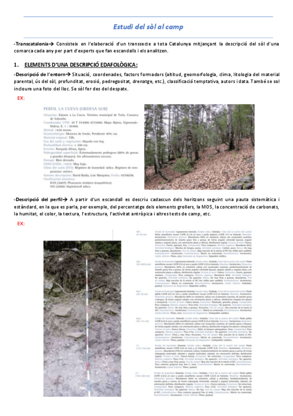 Miniatura del documento T3-Estudi-del-sol-al-camp.pdf