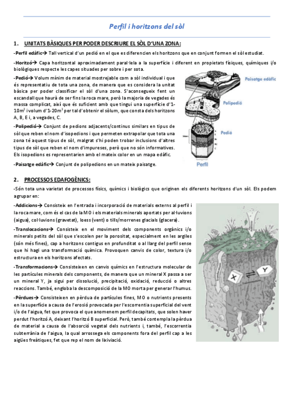 Miniatura del documento T2-Perfil-i-horitzons.pdf