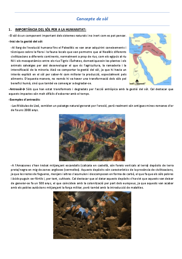 Miniatura del documento T1-Concepte-de-sol.pdf