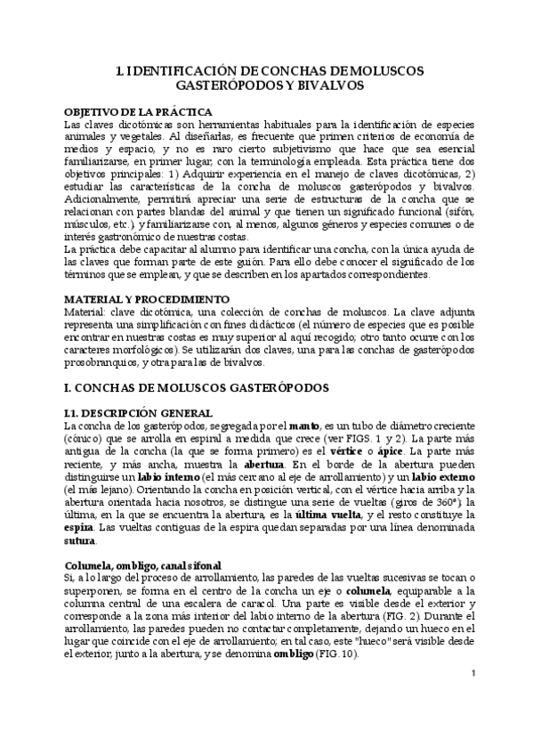 Miniatura del documento Identificación de conchas de Moluscos Gasterópodos y Bivalvos.pdf