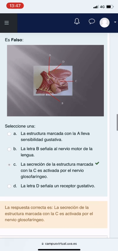 Miniatura del documento CYC EXAMEN.MP4
