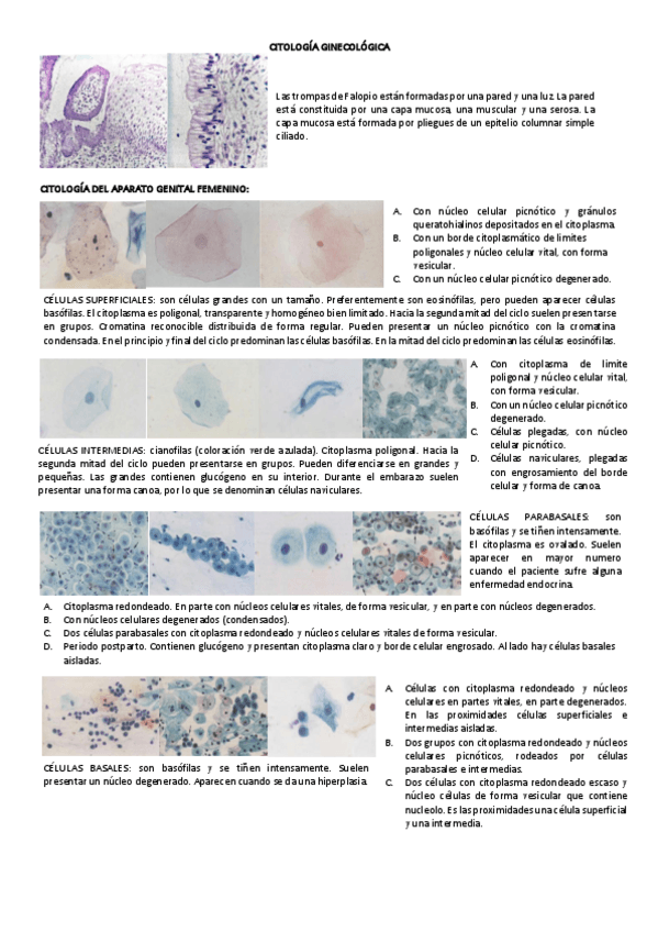 Miniatura del documento PREPARACION-VISU-CITO-GINE-I.pdf